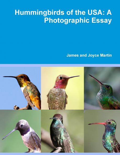 Hummingbirds of the USA
