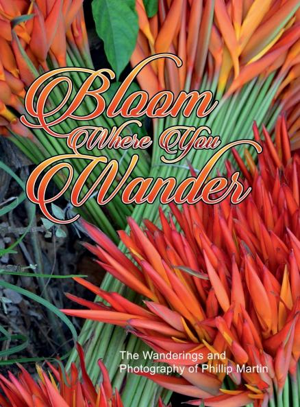 Bloom Where You Wander (Expanded glossy cover)