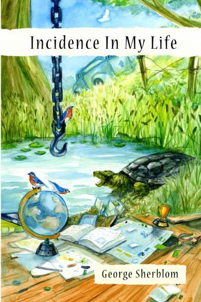 Incidence In My Life