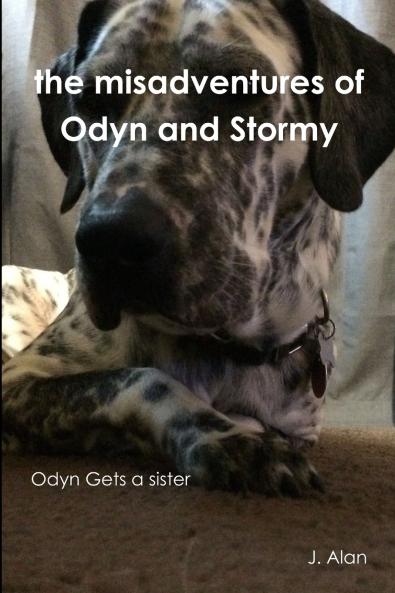 the misadventures of Odyn and Stormy