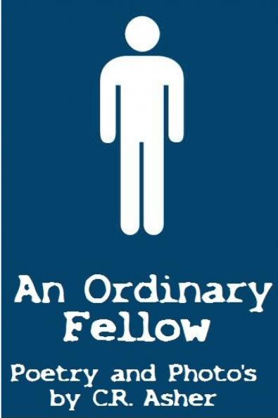 An Ordinary Fellow