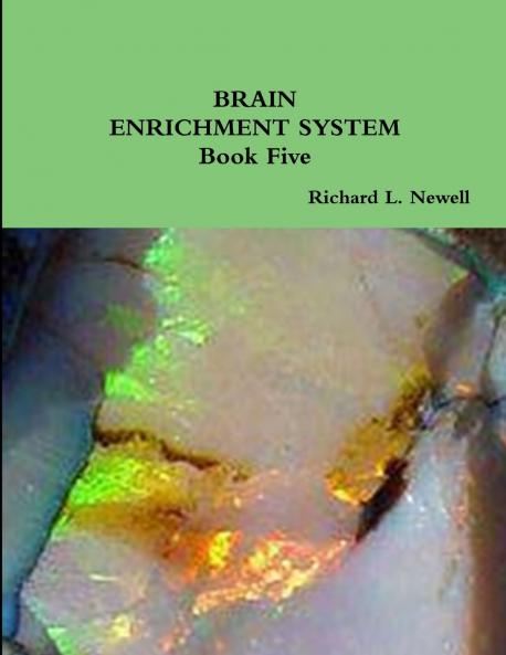 BRAIN ENRICHMENT SYSTEM  Book Five