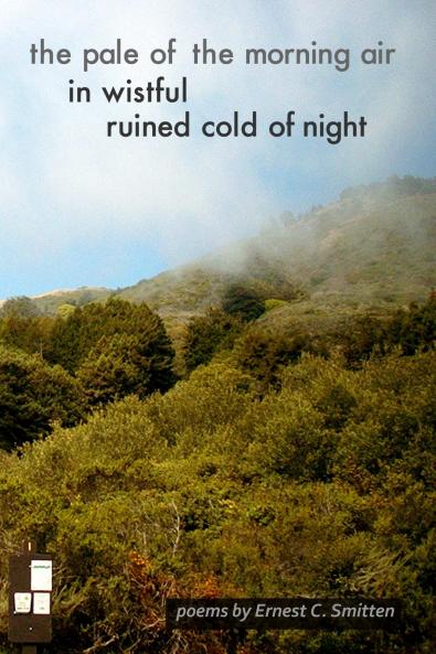 the pale of the morning air in wistful ruined cold of night