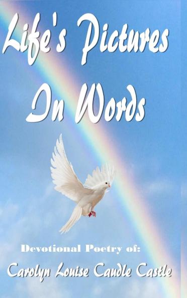 Life's Pictures in Words