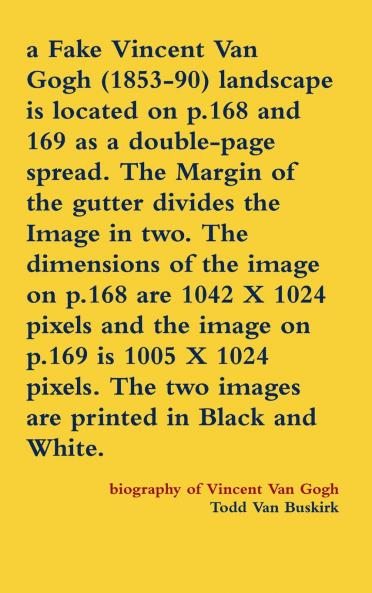 a Fake Vincent Van Gogh (1853-90) landscape is located on p.168 and 169 as a double-page spread. The Margin of the gutter divides the Image in two. The dimensions of the image on p.168 are 1042 X 1024 pixels and the image on p.169 is 1005 X 1024 pixels...
