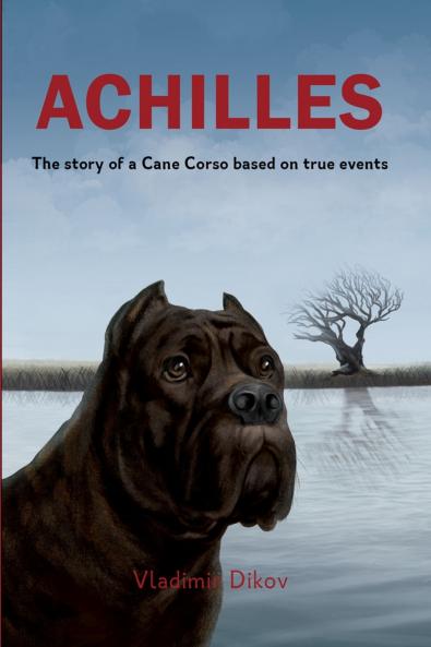 Achilles-A story about friends