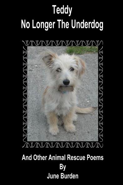 Teddy no longer the underdog and other animal rescue poems