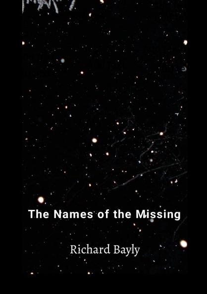 The Names of The Missing