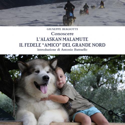 Conoscere l'Alaskan Malamute - Il fedele amico del Grande Nord