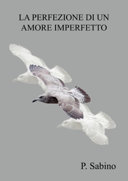 La perfezione di un amore imperfetto