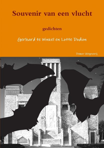Souvenir van een vlucht