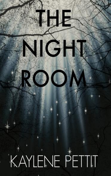 THE NIGHT ROOM
