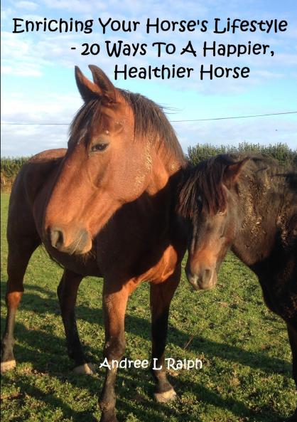 Enriching Your Horse's Lifestyle - 20 Ways To A Happier Healthier Horse