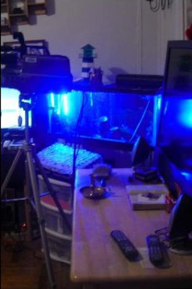 MOUNT VERNON NEW YORK COLLECTIVE OF BOOKS  BY