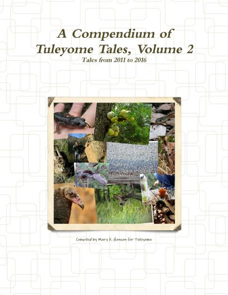 A Compendium of Tuleyome Tales Volume 2