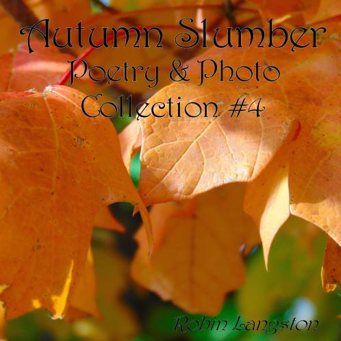 Autumn Slumber