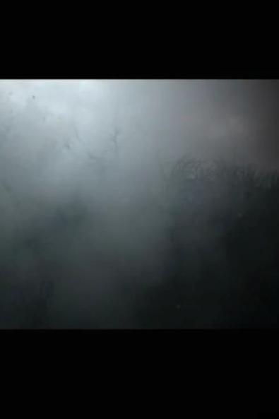 The Last Transmissions