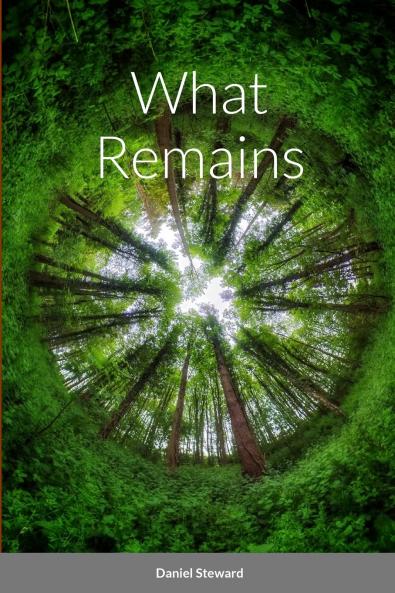 What Remains