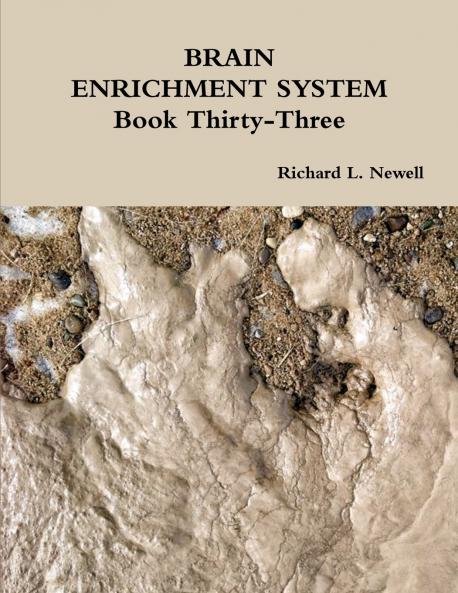 BRAIN ENRICHMENT SYSTEM Book Thirty-Three