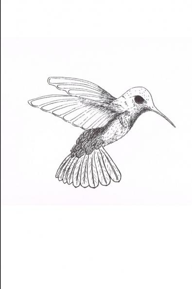 When the Trochilidae Die