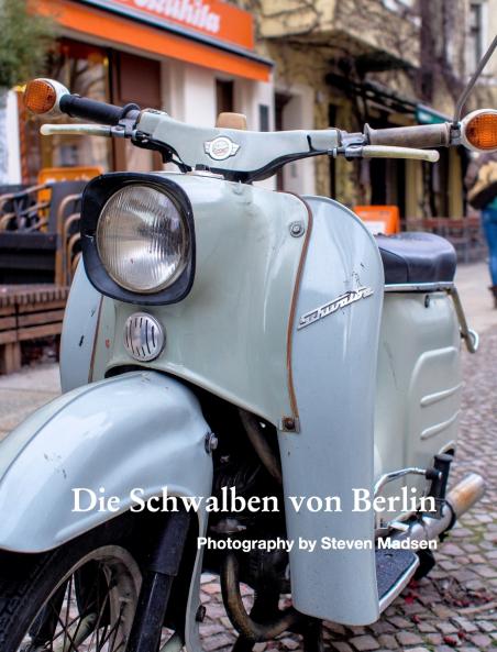 Die Schwalben von Berlin