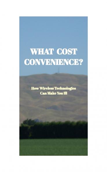 What Cost Convenience?