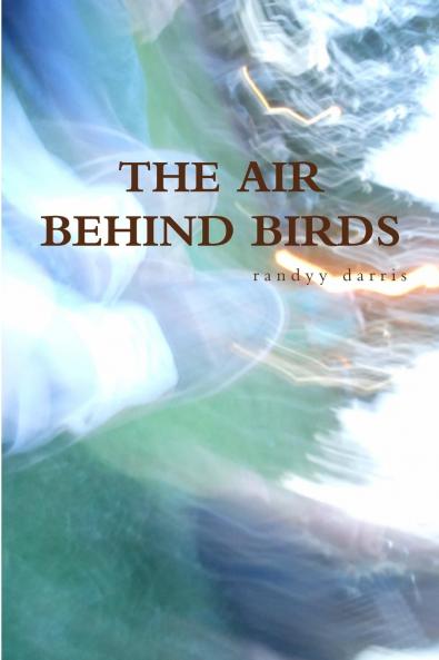 The Air Behind Birds