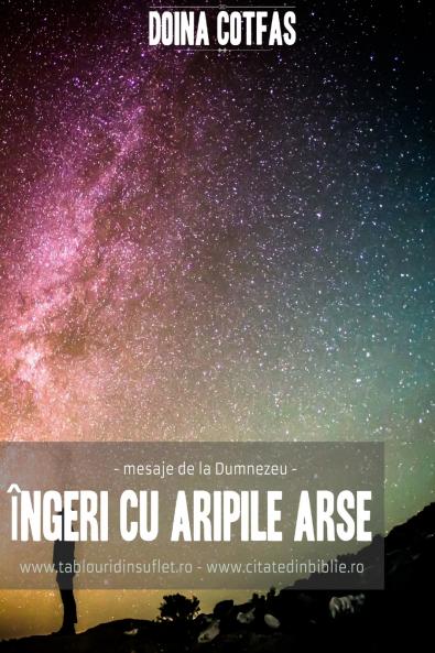 Îngeri cu aripi arse (mesaje de la Dumnezeu)