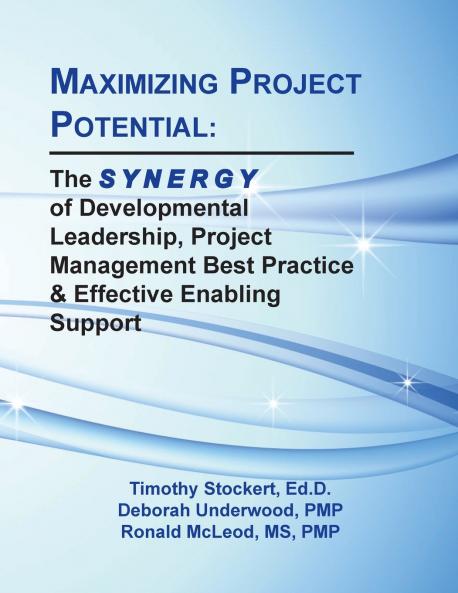 MAXIMIZING PROJECT POTENTIAL