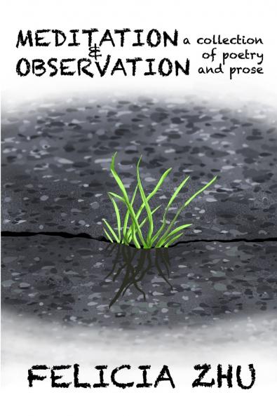 Meditation and Observation