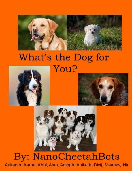 What's the Dog for You?