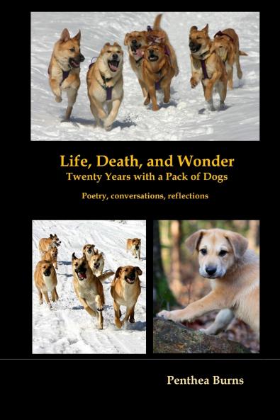 Life Death and Wonder Twenty Years with a Pack of Dogs