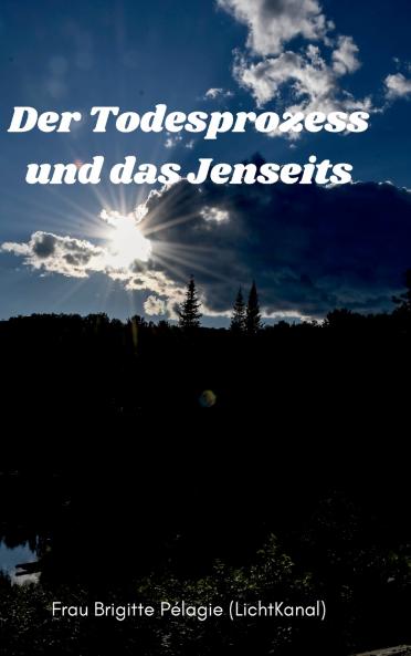Der Todesprozess und das Jenseits (Hardcover)