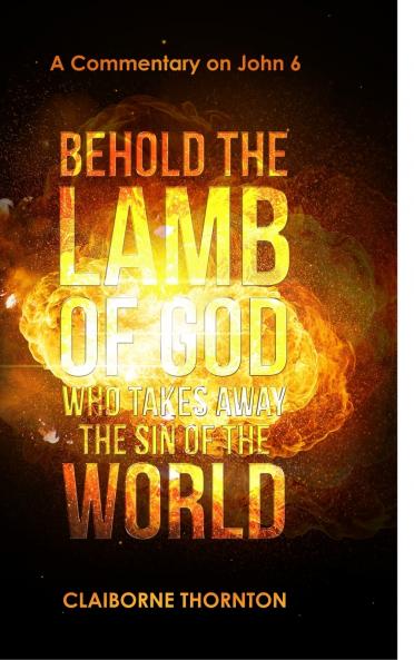 Behold The Lamb of God Who Takes Away the Sin of the World