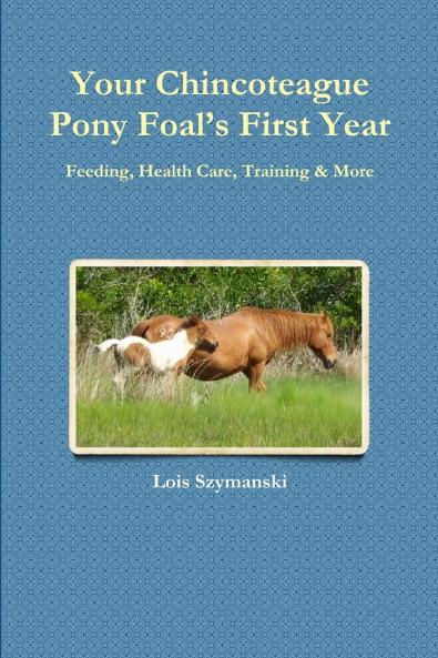 Your Chincoteague Pony Foal's First Year