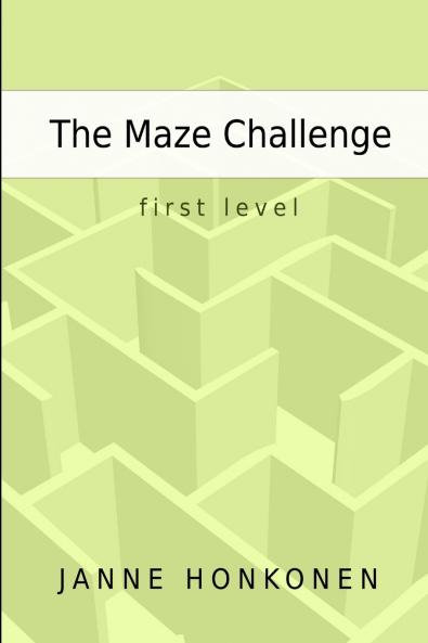 The Maze Challenge - First level