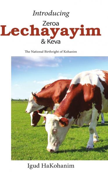 Introducing Zeroa Lechayayim and Keva Hardcover