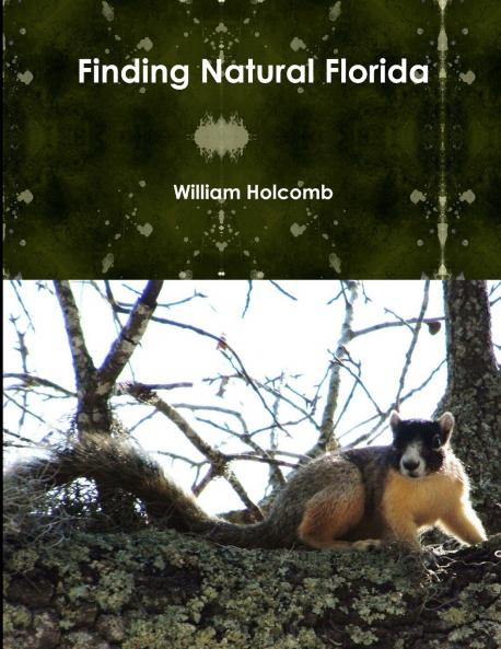 Finding Natural Florida