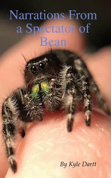 Narrations From a Spectator of Bean