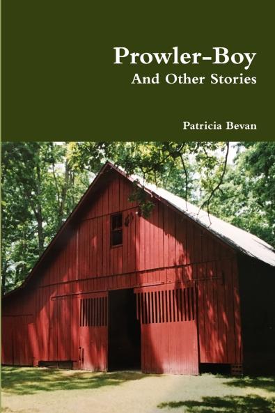 Prowler-Boy And Other Stories