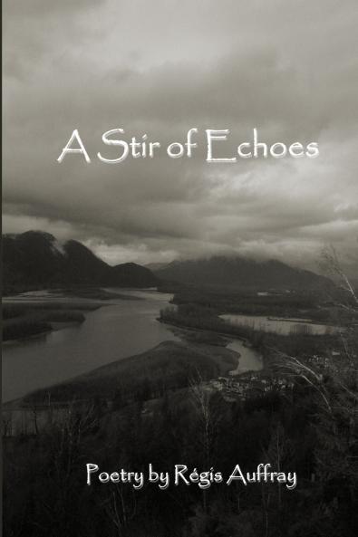 A Stir of Echoes