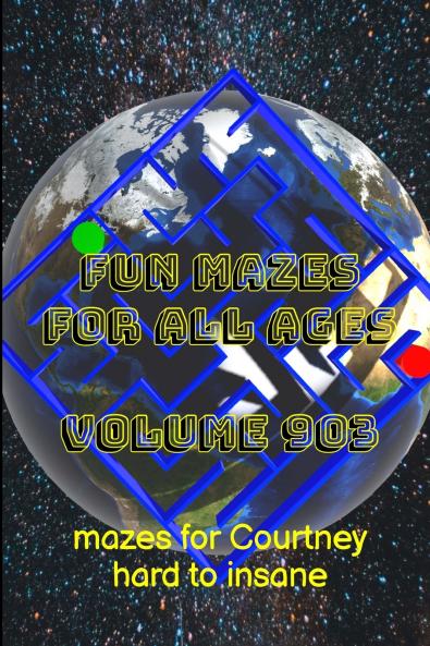 Fun Mazes for All Ages Volume 903