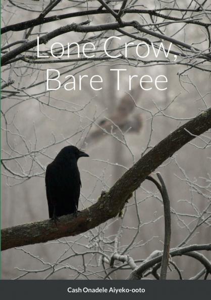 Lone Crow Bare Tree