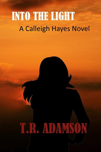 Into the Light A Calleigh Hayes Novel
