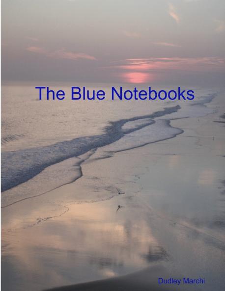 The Blue Notebooks
