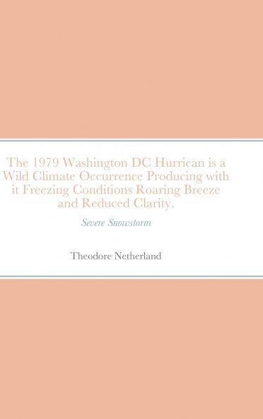 The 1979 Washington DC Hurrican is a Wild Climate Occurrence Producing with it Freezing Conditions Roaring Breeze and Reduced Clarity.