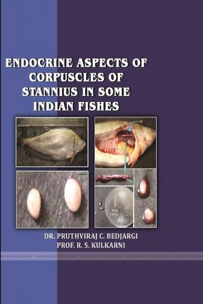 ENDOCRINE ASPECTS OF  CORPUSCLES OF STANNIUS IN SOME INDIAN FISHES