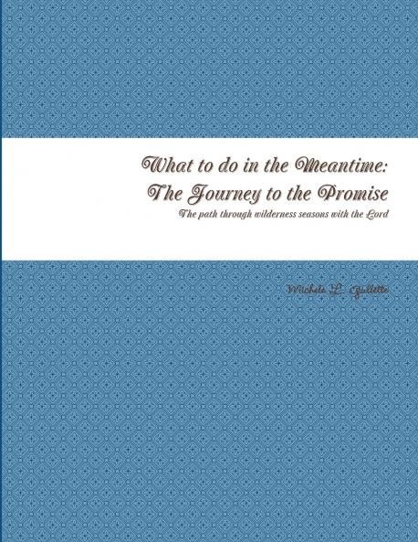 What to do in the Meantime