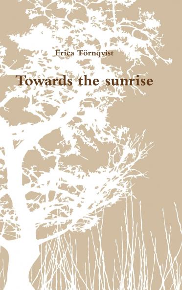 Towards the sunrise