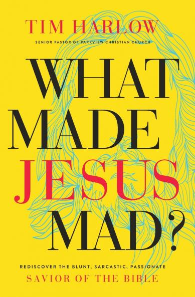 What Made Jesus Mad?* | Softcover